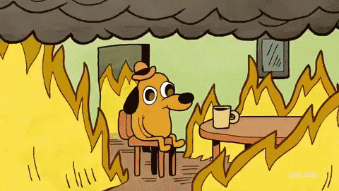 gif of a cartoon dog sitting in the middle of a burning room calmly drinking a cup of coffee and saying "this is fine"