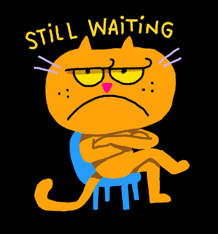 image of a cartoon cat sitting in a chair with its arms crossed with the bold text "STILL WAITING" over its head