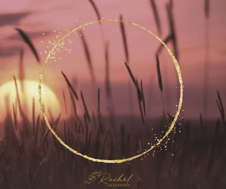 image of a purple sunset with reeds slowly blowing in the breeze. A gold circle in the middle surrounds text reading "if it's from spirit, it's calm."